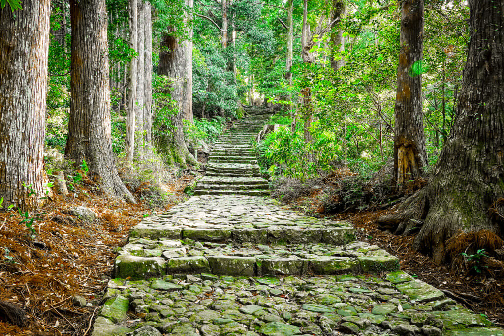 熊野古道 中辺路